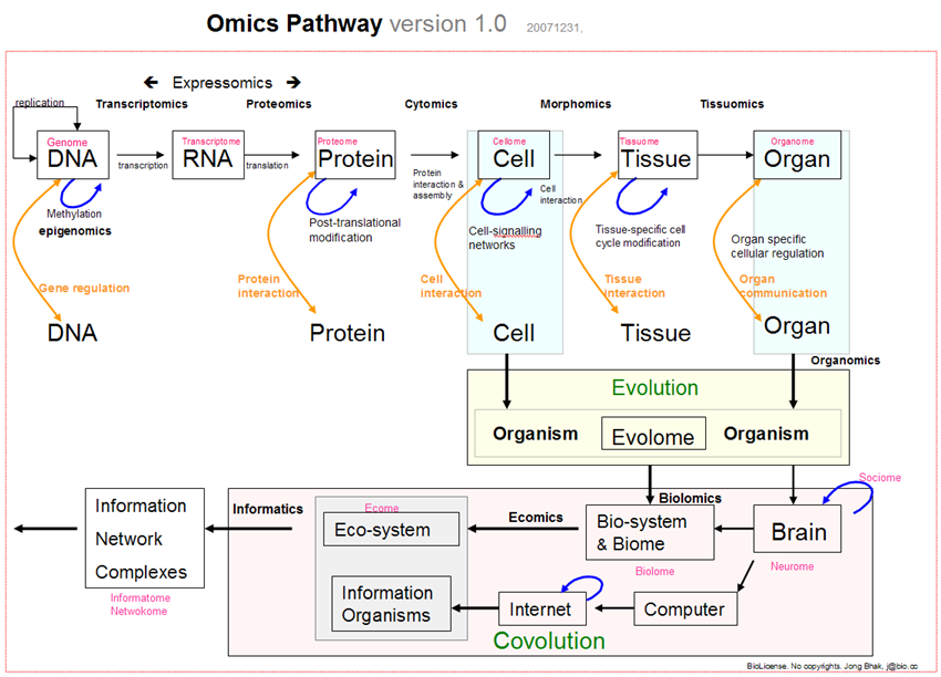 Omics pathway jong bhak sm 20071231.png